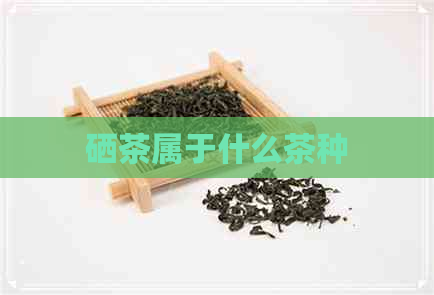 硒茶属于什么茶种