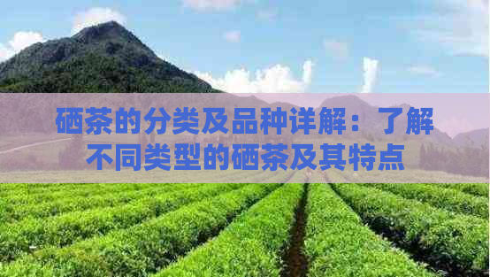 硒茶的分类及品种详解：了解不同类型的硒茶及其特点