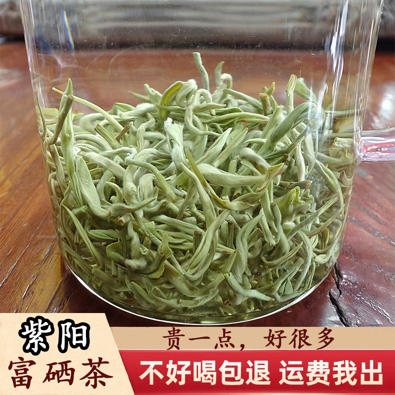 安康紫阳富硒茶的现状