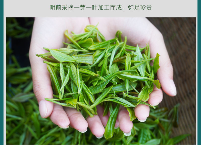 陕西紫阳秦巴山富硒茶