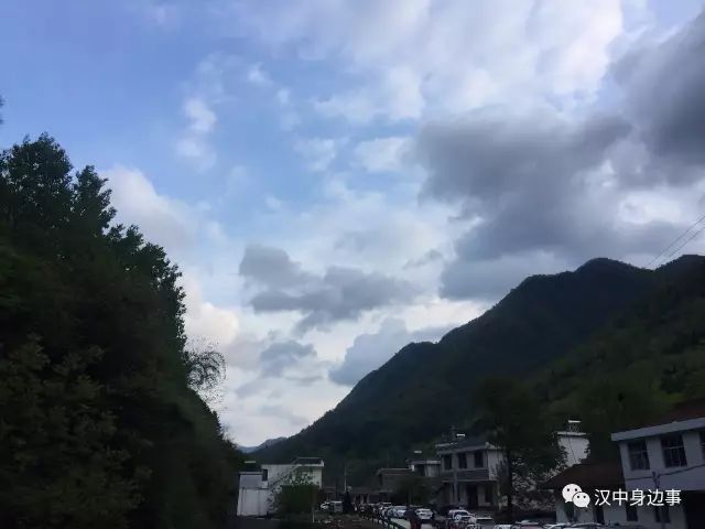 汉中红镇巴高山富硒茶