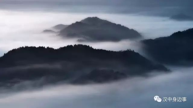 汉中红镇巴高山富硒茶