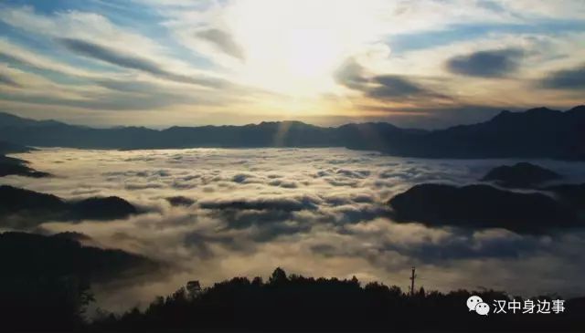 汉中红镇巴高山富硒茶