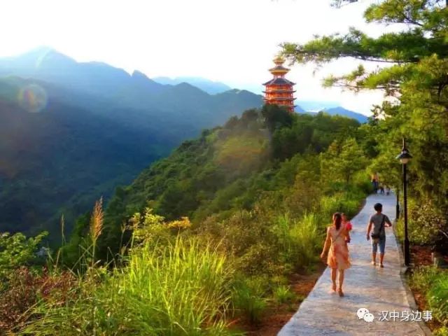 汉中红镇巴高山富硒茶