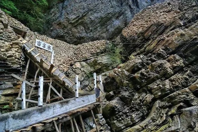 汉中红镇巴高山富硒茶