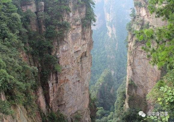 汉中红镇巴高山富硒茶