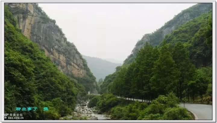 汉中红镇巴高山富硒茶