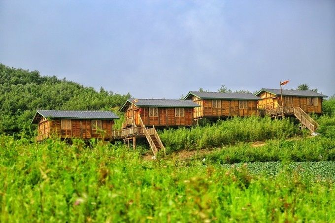 汉中红镇巴高山富硒茶