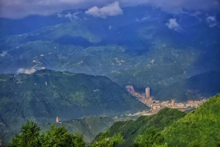 汉中红镇巴高山富硒茶