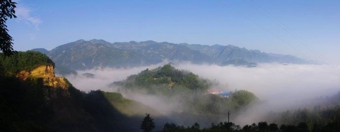 汉中红镇巴高山富硒茶