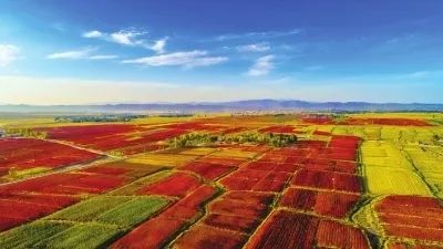 醇厚的恩施富硒茶地址