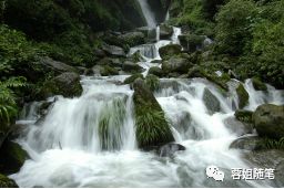 香港恩施富硒茶哪里买