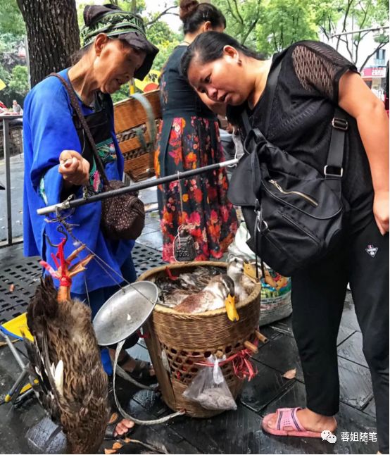 香港恩施富硒茶哪里买