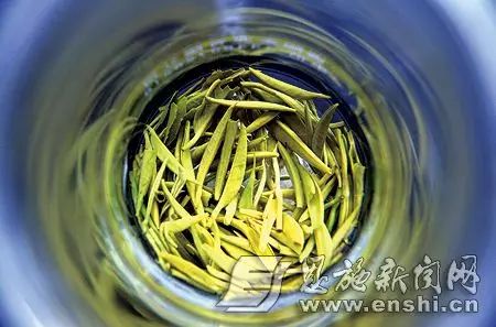 恩施富硒绿茶是什么茶