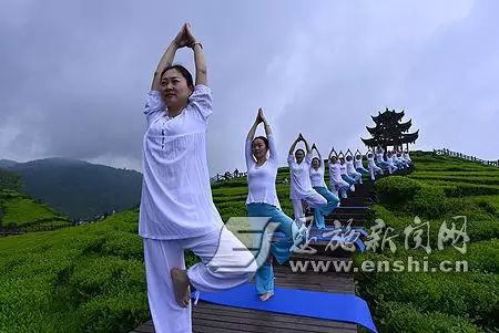 恩施富硒绿茶是什么茶