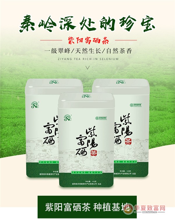 紫阳富硒茶生意如何样