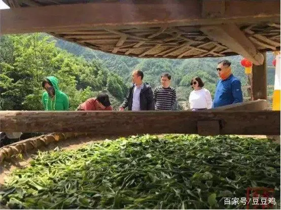 紫阳富硒茶选什么品牌