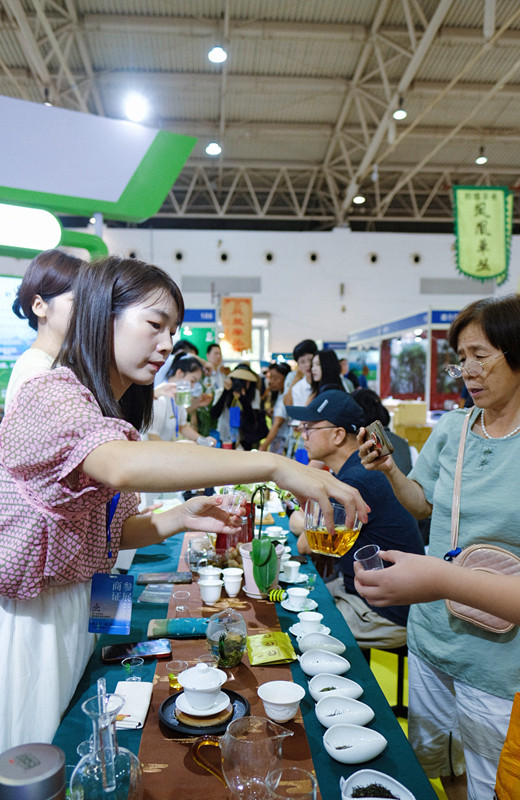 富硒茶博览会活动策划