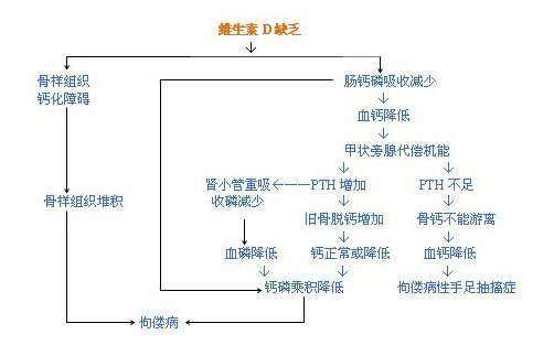 小孩子缺钙吃什么补钙好