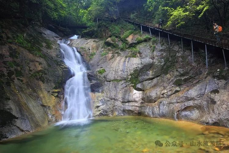 富硒茶什么人不能喝了