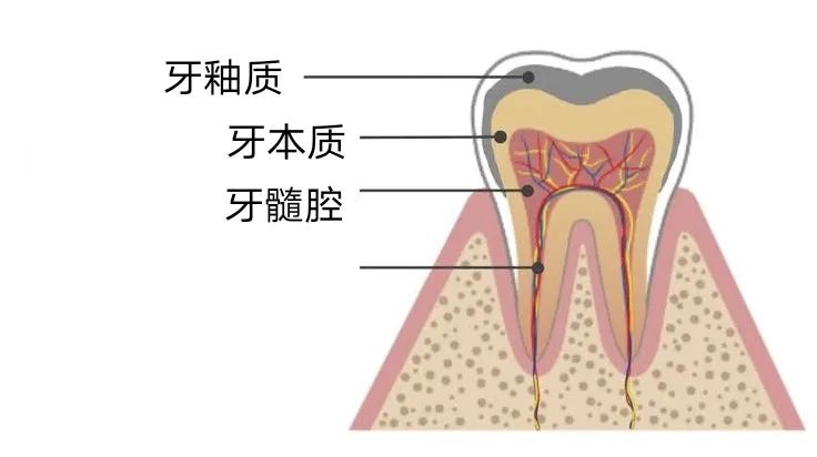 补钙对牙齿有好处吗