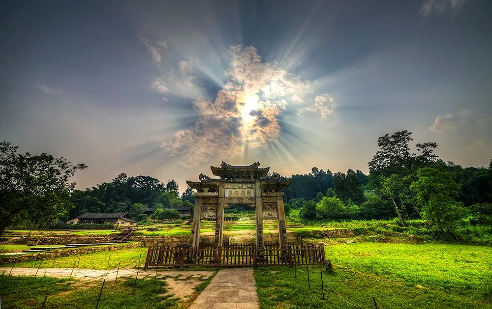 高质量恩施富硒茶地址