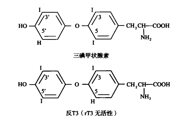 甲亢吃的富硒茶是什么