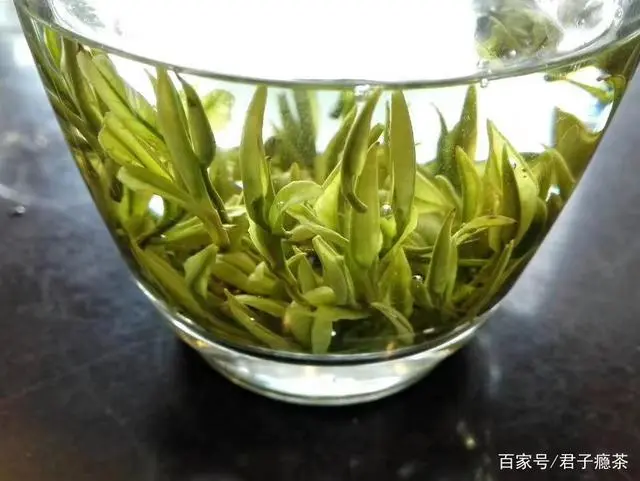 富硒毛尖紫阳茶多少钱