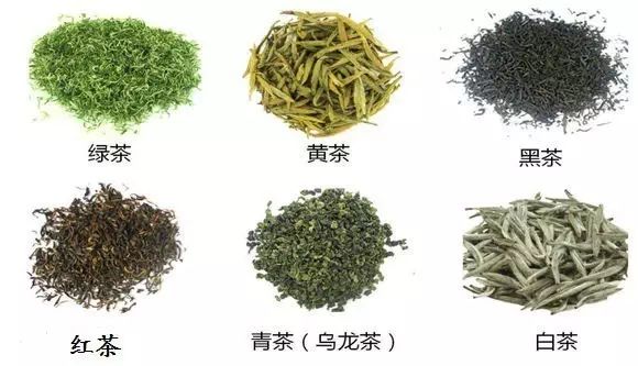 富硒茶属于绿茶吗对吗