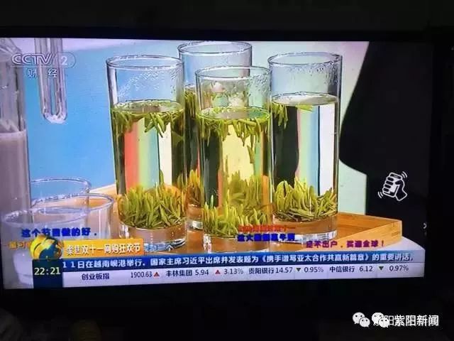 紫阳富硒茶卖向哪里了