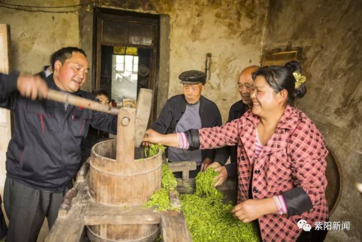 紫阳富硒茶卖向哪里了