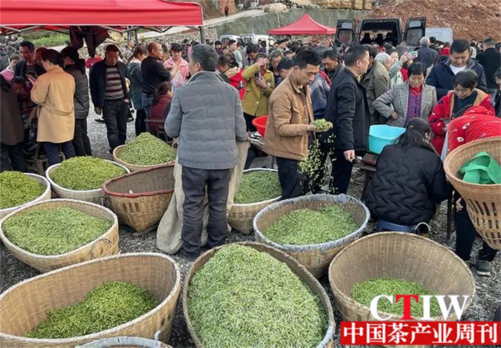 高质量恩施富硒茶公司