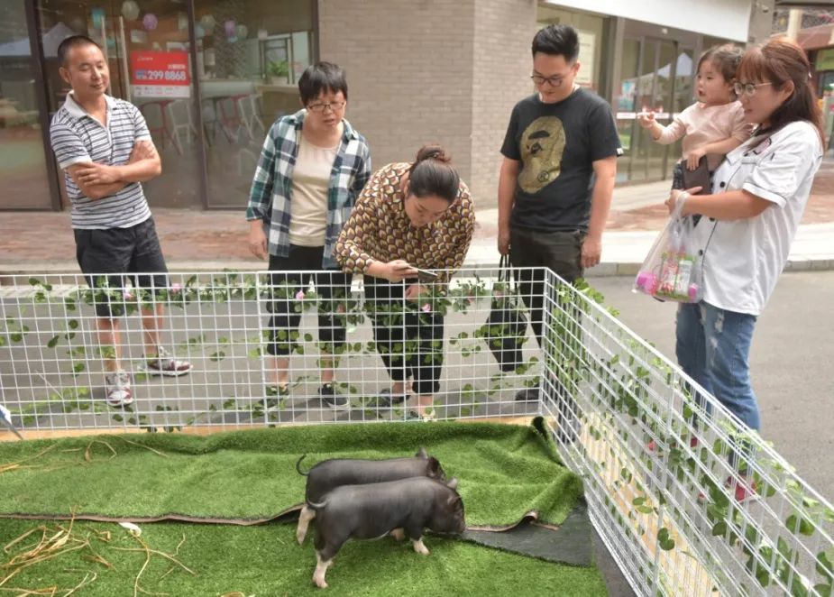 富硒茶的喝法饮品文案