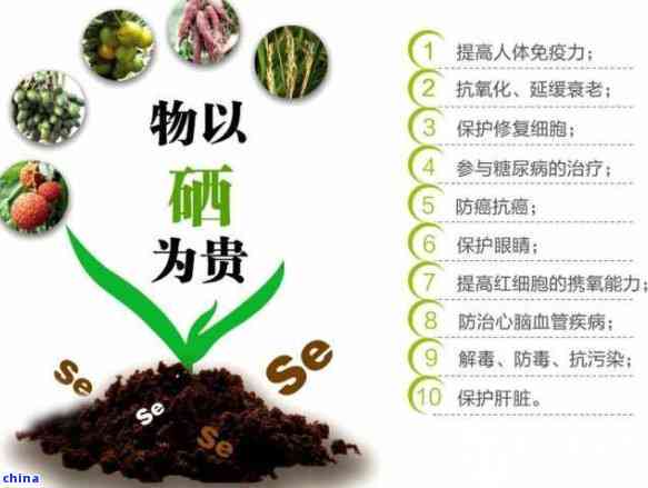 茶叶因子功效及应用-茶叶因子功效及应用