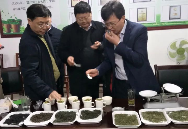 富硒茶就是巴山雀舌吗