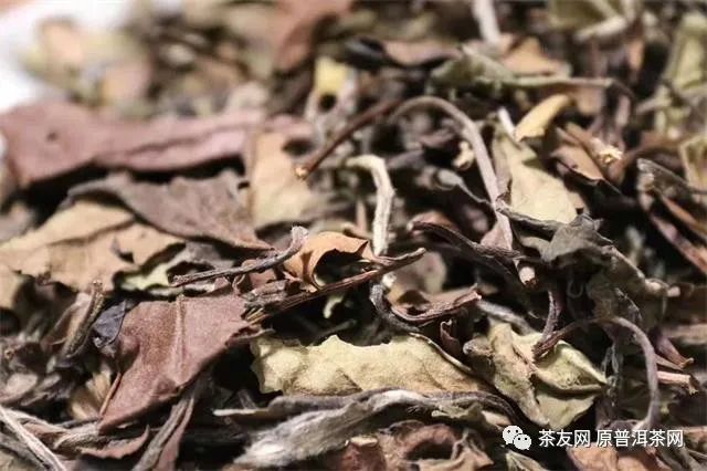 紫阳富硒茶的制作方法