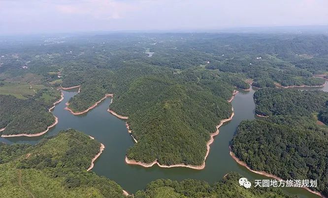 富硒茶基地在什么地方