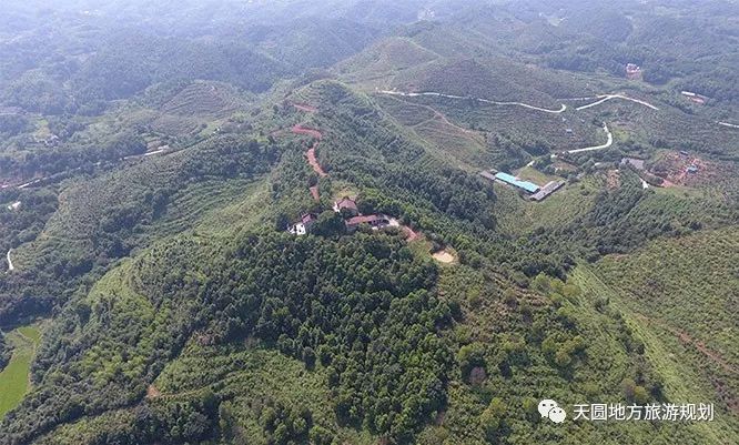 富硒茶基地在什么地方