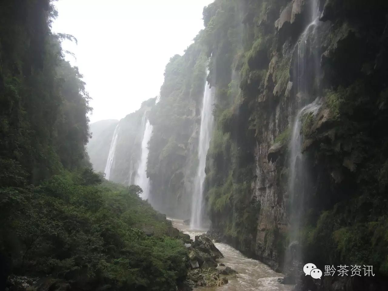 富硒茶产地是哪里的好