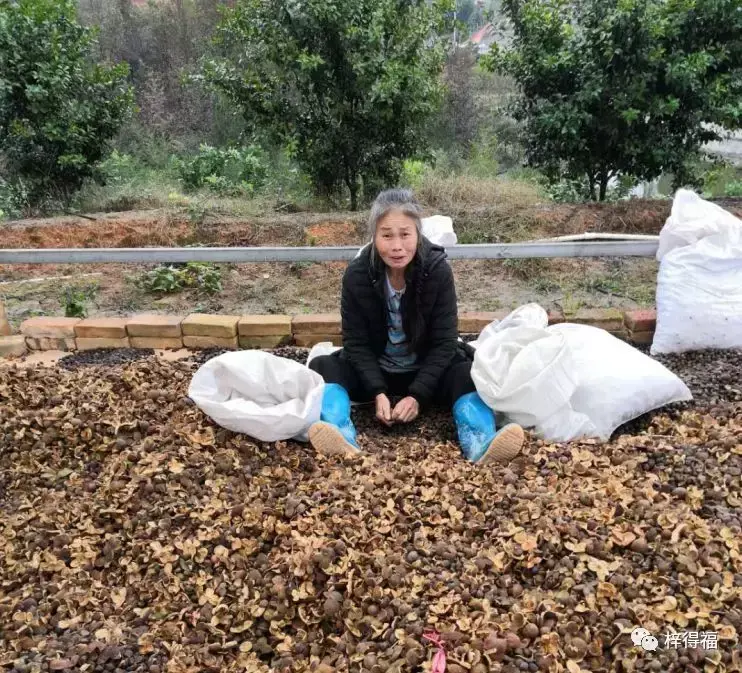 茶籽富硒油怎么吃好吃