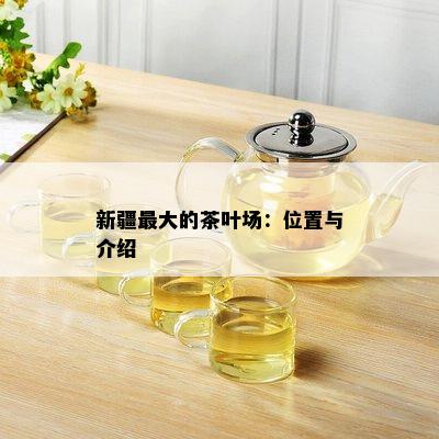 新疆更大的茶叶场：位置与介绍