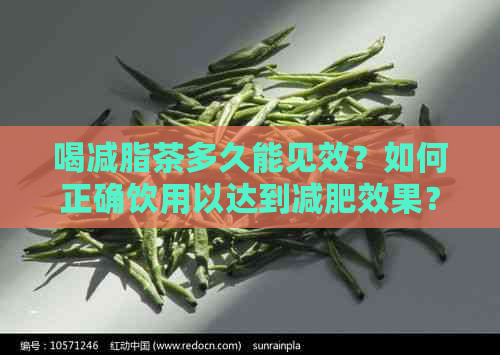 喝减脂茶多久能见效？如何正确饮用以达到减肥效果？