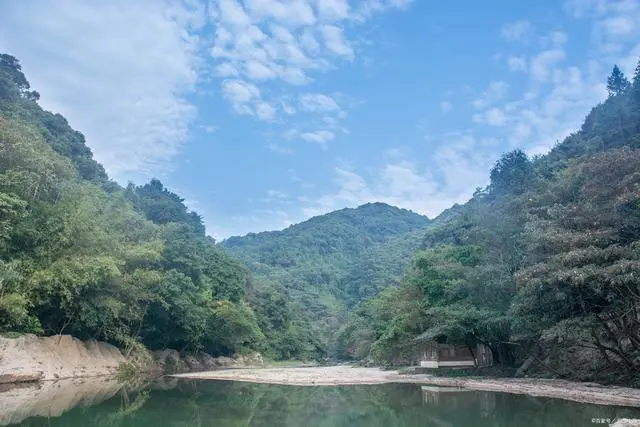 石台大山村天然富硒茶