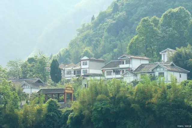 石台大山村天然富硒茶