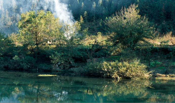 石台大山村天然富硒茶