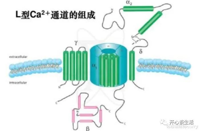 怎么样才能补钙