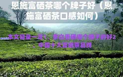 探索恩富硒茶口感：独特韵味，值得一试