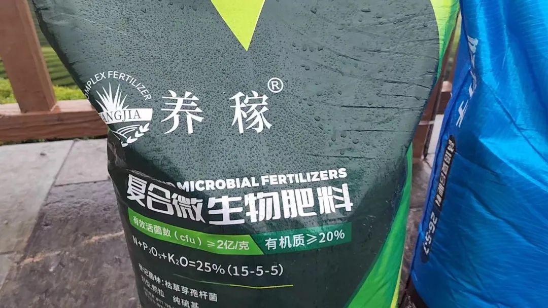 恩施富硒茶的市场价格