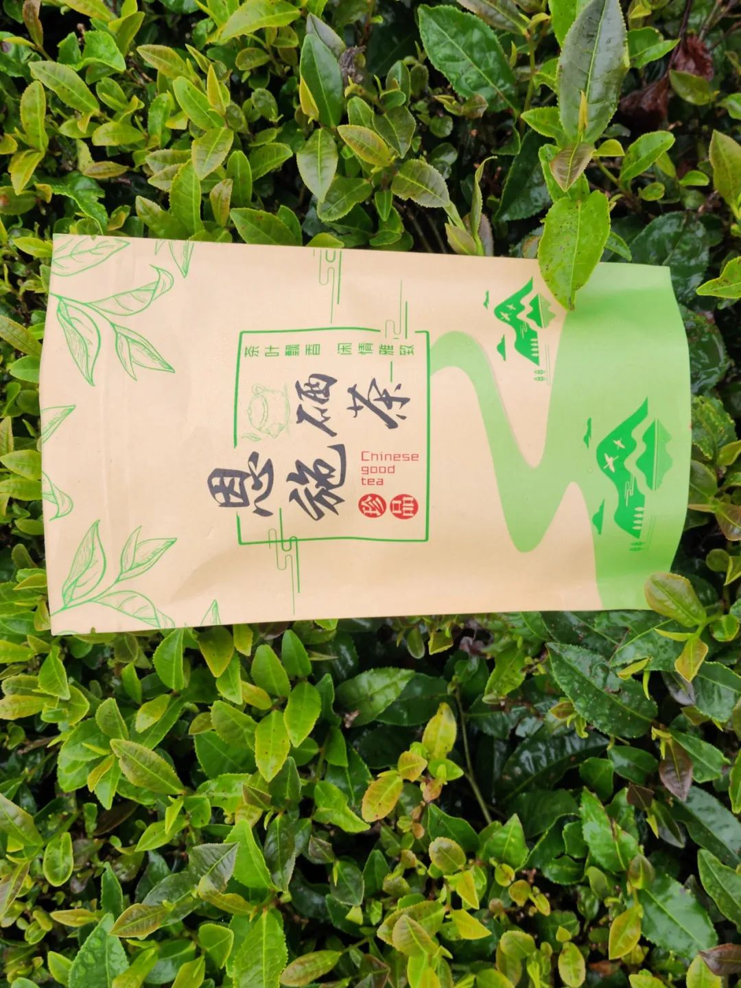 恩施富硒茶的市场价格