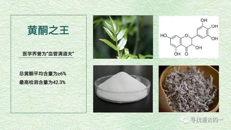 富硒藤茶排毒作用功效